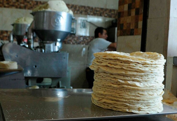 Eval&uacute;a el Presidente la importaci&oacute;n de ma&iacute;z para evitar que suba el precio de la tortilla