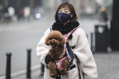 El Covid-19 no se puede transmitir a trav&eacute;s de perros y gatos, aunque estos pueden contagiarse