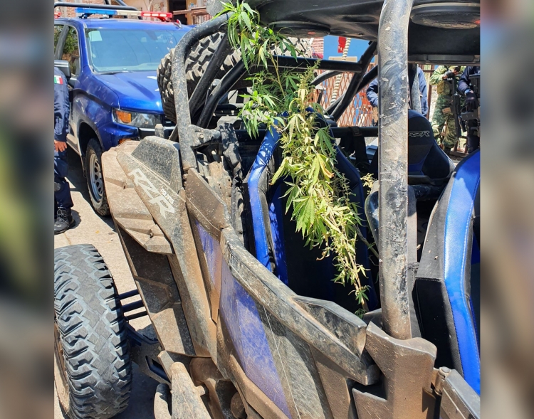 Tras persecuci&oacute;n, Polic&iacute;as Estatales aseguran razer y plantas de mariguana, en Culiac&aacute;n