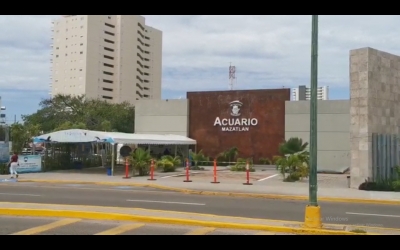 Se manifiestan trabajadores de Acuario