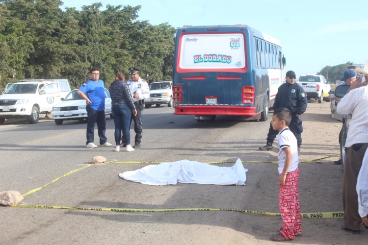 Horrible muerte de una adulta mayor en la carretera Culiac&aacute;n-Eldorado