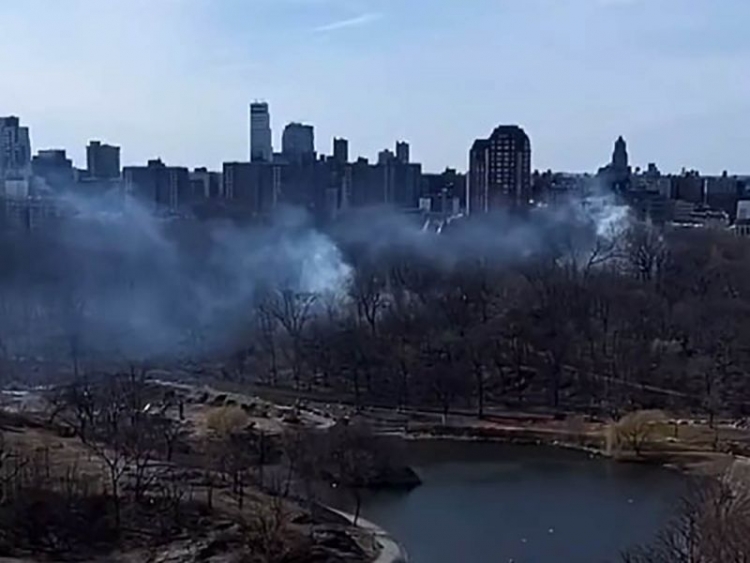 Se registran m&aacute;s de 10 incendios forestales en Central Park