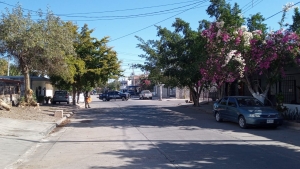Aseguran dos presuntos narcolaboratorios en colonias de Culiac&aacute;n