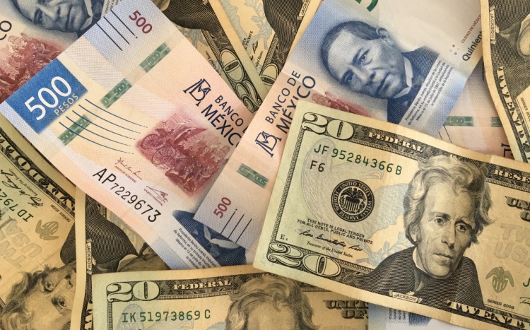 Ligera ganancia del peso frente al d&oacute;lar en d&iacute;a de puente