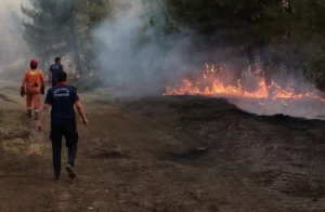 Turqu&iacute;a evac&uacute;a a m&aacute;s de 50 mil personas por incendios forestales