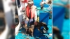 Rescatan a Marinero australiano perdido en alta mar desde hace m&aacute;s de 2 meses tras zarpar de La Paz