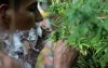 SCJN permite la posesi&oacute;n de m&aacute;s de 5 gramos de mariguana