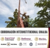 Realizan militares operativo para el retiro de c&aacute;maras de videovigilancia Irregulares en lugares p&uacute;blicos