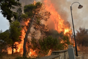 Siria ejecuta a 24 personas por haber provocado incendios en 2020