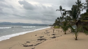 Gobierno de Nayarit suspende actividades en Playas y proh&iacute;be venta de alcohol ante posible llegada de &lsquo;Sim&oacute;n'