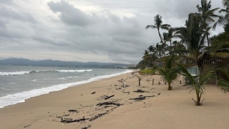 Gobierno de Nayarit suspende actividades en Playas y proh&iacute;be venta de alcohol ante posible llegada de &lsquo;Sim&oacute;n'