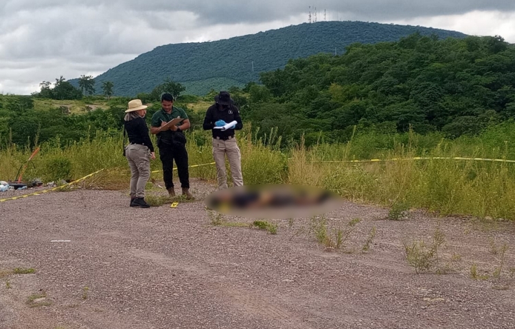 Con balazo en la cabeza, ejecutan a un joven en la salida sur de Culiac&aacute;n