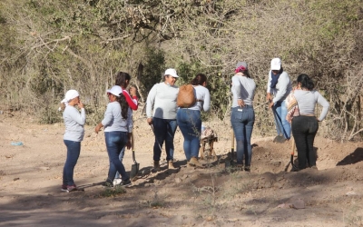 Sin un plan de b&uacute;squeda, desaparecen otras 9 personas en febrero, en Sinaloa
