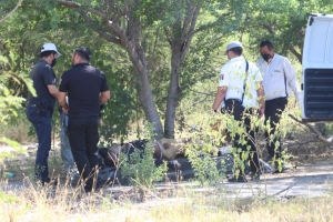 Encintado de la cabeza, descubren un hombre asesinado en El Alto de Bachigualato, Culiac&aacute;n