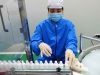 En Francia muere la primer persona por coronavirus en Europa y en Jap&oacute;n ya son 285 los infectados del crucero puesto en cuarentena