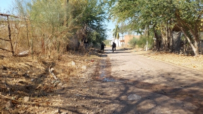 Ejecutan a un hombre en la colonia Miguel de la Madrid, Culiac&aacute;n