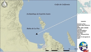 Avioneta procedente de Guaymas se desploma en la bah&iacute;a de La Paz