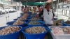 Changueras reportan buenas ventas en fin de semana