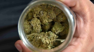 Nueva York legaliza oficialmente la marihuana para uso recreativo