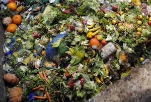 Casi el 20% de los alimentos disponibles en el mundo se desperdician al a&ntilde;o, revela ONU