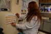 Consumo de ajo en concentraciones elevadas podr&iacute;a representar un riesgo toxicol&oacute;gico, especialmente durante el embarazo, se&ntilde;ala investigadora