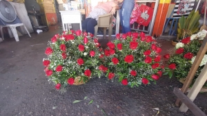 Esperan ventas del 70 por ciento en flores por el D&iacute;a de Muertos