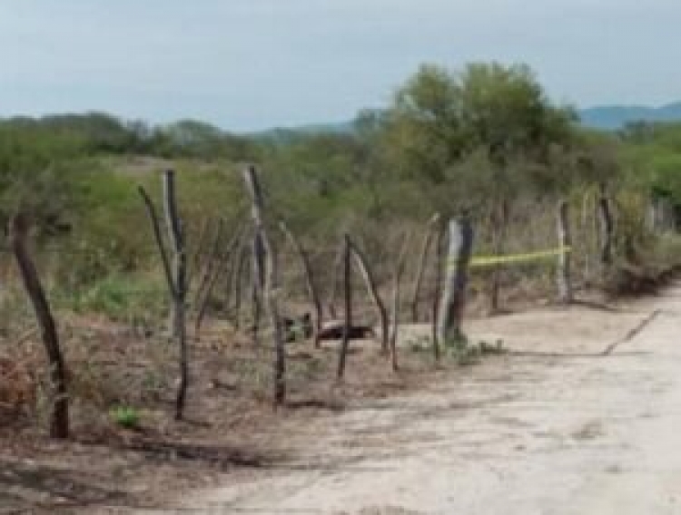 Ejecutan a tres hombres en Choix este mi&eacute;rcoles