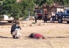 Abandonan cuerpo de un hombre asesinado en una cancha de basquetbol, en Culiac&aacute;n