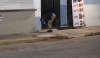 Hieren a un hombre afuera de expendio de cerveza en Culiac&aacute;n