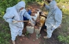 Grupo Interinstitucional asegura almacenamiento de qu&iacute;micos y plant&iacute;os de marihuana en Culiac&aacute;n, Cosal&aacute;, Mocorito y Elota