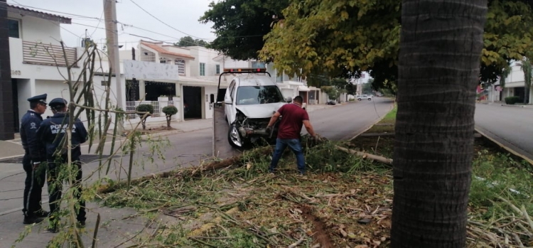 Mujer pierde control del volante y choca contra poste y &aacute;rboles de camell&oacute;n, en Culiac&aacute;n
