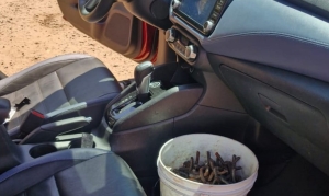 En Culiac&aacute;n, el Grupo Interinstitucional detiene a un civil armado y asegura un veh&iacute;culo con ponchallantas