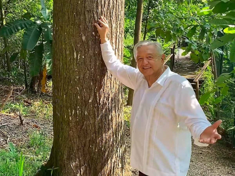 L&oacute;pez Obrador celebra su cumplea&ntilde;os: &iexcl;amor con amor se paga!, dice