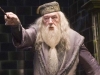 Muere a los 82 a&ntilde;os Michael Gambon, actor que interpret&oacute; a Dumbledore en 'Harry Potter'