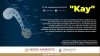 Hurac&aacute;n "Kay" deja de ser amenaza para Sinaloa: Protecci&oacute;n Civil