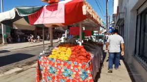 Vendedores de dulces y golosinas reportan bajas ventas en la demanda