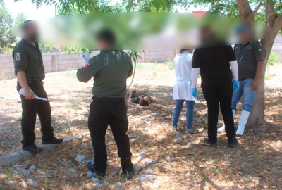 Hallan degollado a un joven en campestre de San Pedro, Navolato