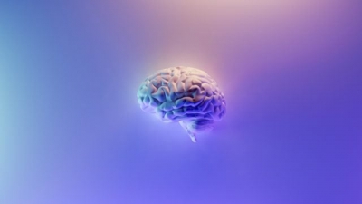 China abre un laboratorio centrado en la interacci&oacute;n entre cerebro y m&aacute;quinas
