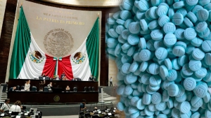 Aprueban ley contra qu&iacute;micos del fentanilo