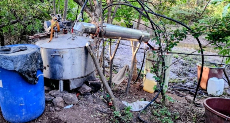 Fuerzas Federales aseguran un laboratorio para la fabricaci&oacute;n de drogas sint&eacute;ticas en Culiac&aacute;n