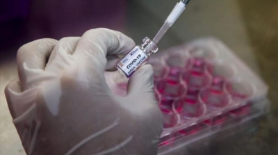 Descubren la clave para &ldquo;desnutrir&rdquo; al Covid y evitar que se reproduzca en los pulmones