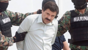 Hunden al "Chapo" Guzm&aacute;n: tribunal rechaza apelaci&oacute;n y confirma cadena perpetua