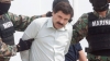 Hunden al "Chapo" Guzm&aacute;n: tribunal rechaza apelaci&oacute;n y confirma cadena perpetua