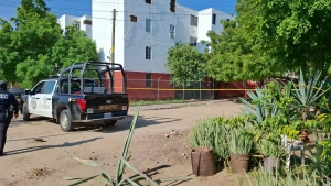 Localizan el cad&aacute;ver de una mujer en la Colonia Infonavit Humaya en Culiac&aacute;n; estaba envuelta en una alfombra