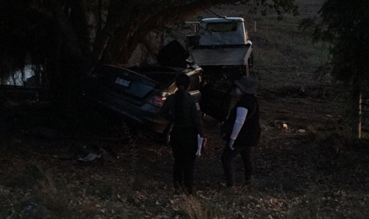 Mueren dos hombre al chocar en un auto con un arbol por la carretera Culiac&aacute;n-Mazatl&aacute;n
