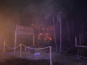 Incendio consume locales en zona hotelera de Tulum, Quintana Roo