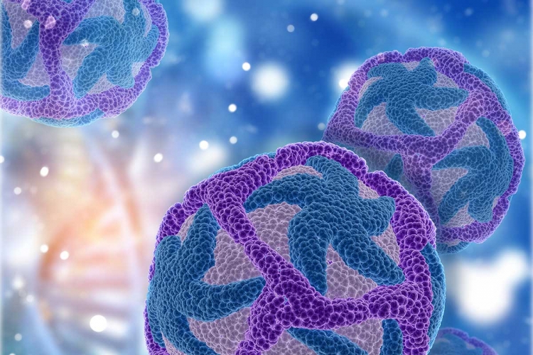 Desarrollan t&eacute;cnica avanzada que permite observar en vivo una infecci&oacute;n por virus