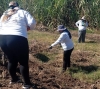 Localizan restos &oacute;seos humanos enterrados cerca de la Hacienda Redo, en el municipio de Eldorado