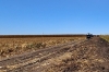 En estado cadav&eacute;rico localizan a una mujer en un campo agricola de Villa Ju&aacute;rez, Navolato