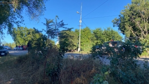 Asesinado a balazos localizan a un joven en el municipio de Navolato
